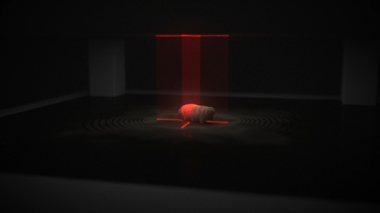 Pôle Nord Studio - Tardigrade - Animal indestructible